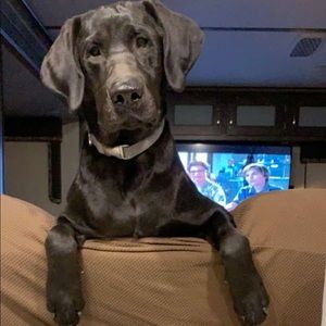 Meet your Posher, Ryan